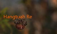 Hangtuah Rekrut Psikolog Olahraga untuk Persiapan Playoff