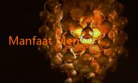 Manfaat Menakjubkan dari JalaLive Persik untuk Kesehatan dan Kecantikan Anda