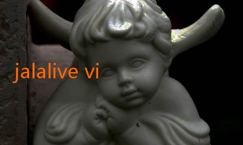 jalalive vip apk-Profil Pemain Naturalisasi yang Berperan Penting di Timnas Indonesia: Kisah Di Balik Layar Keberhasilan