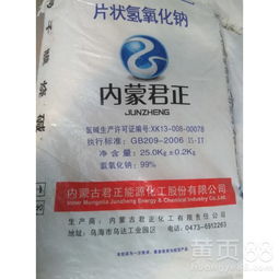 【山東99片堿價格聊城99片堿】- 